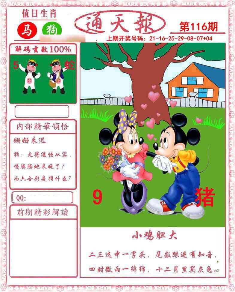 澳彩图库 2026 正版通天报