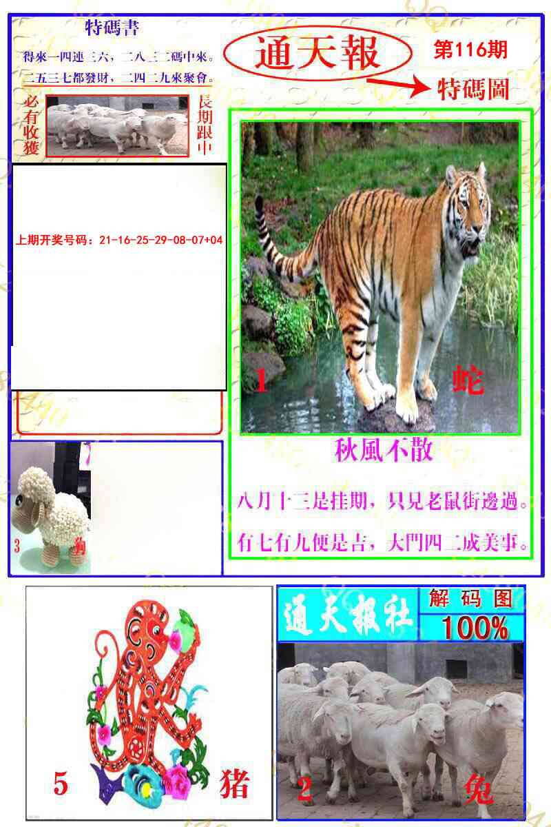 澳彩图库 2026 通天特解图